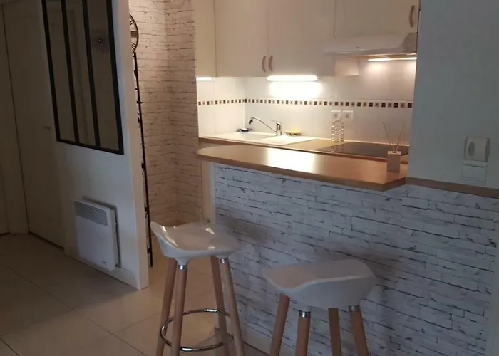 Cybele - Hyper Centre Apartment Arcachon